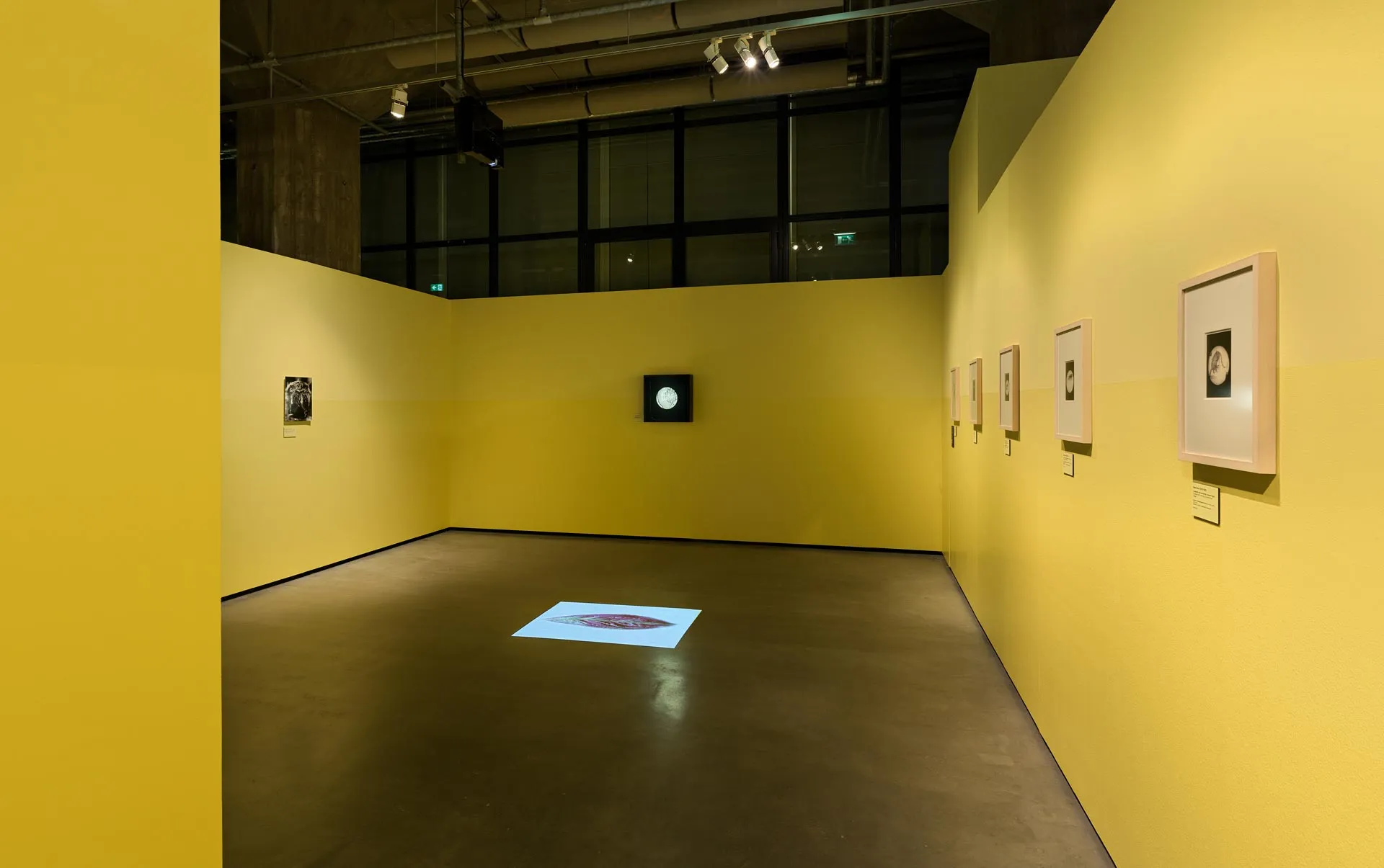 Jeb architecten_10-Jacht-met-de-camera_Tentoonstelling Ontwerp_Nederlands Fotomuseum Rotterdam