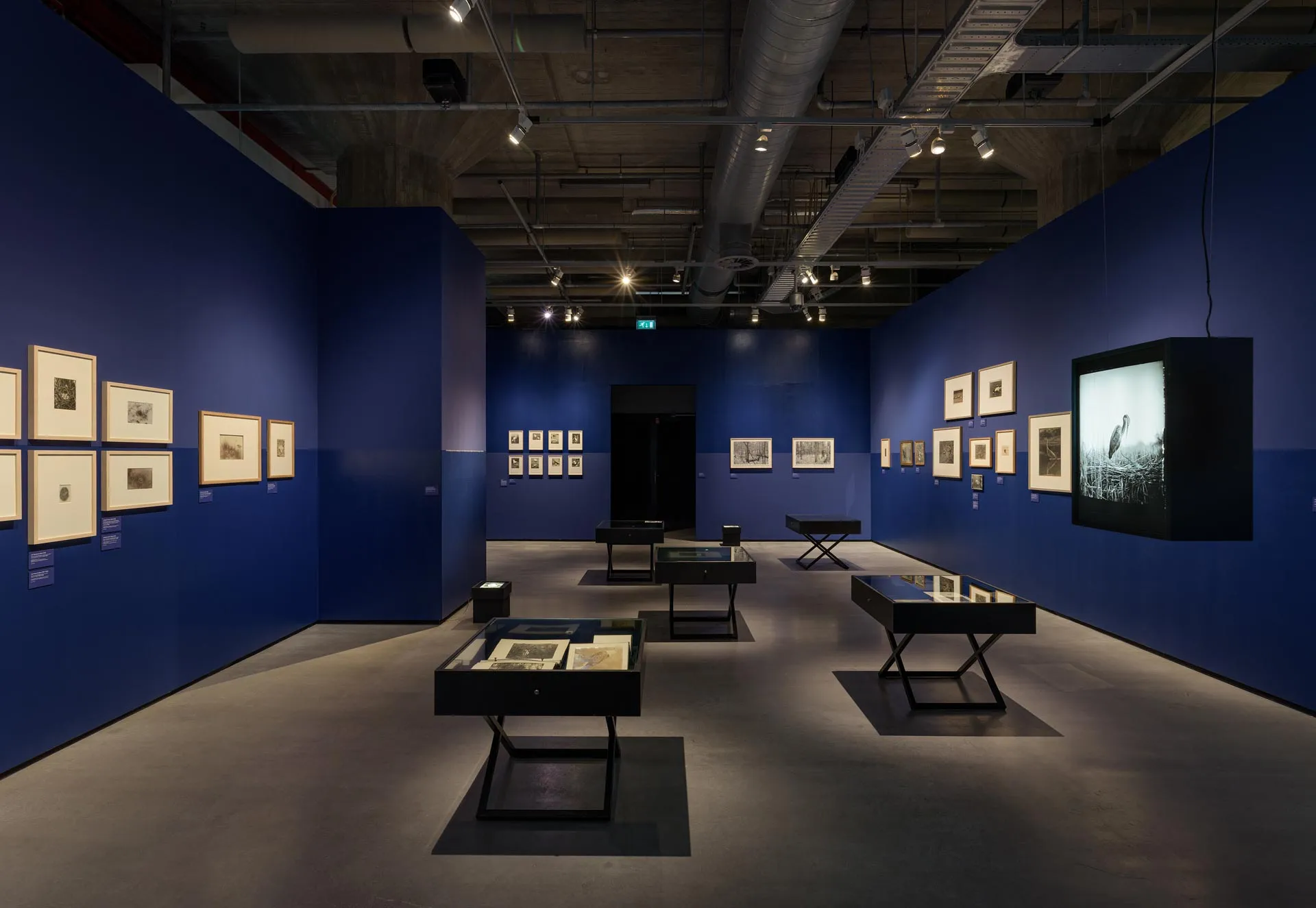 Jeb architecten_12-Jacht-met-de-camera_Tentoonstelling Ontwerp_Nederlands Fotomuseum Rotterdam