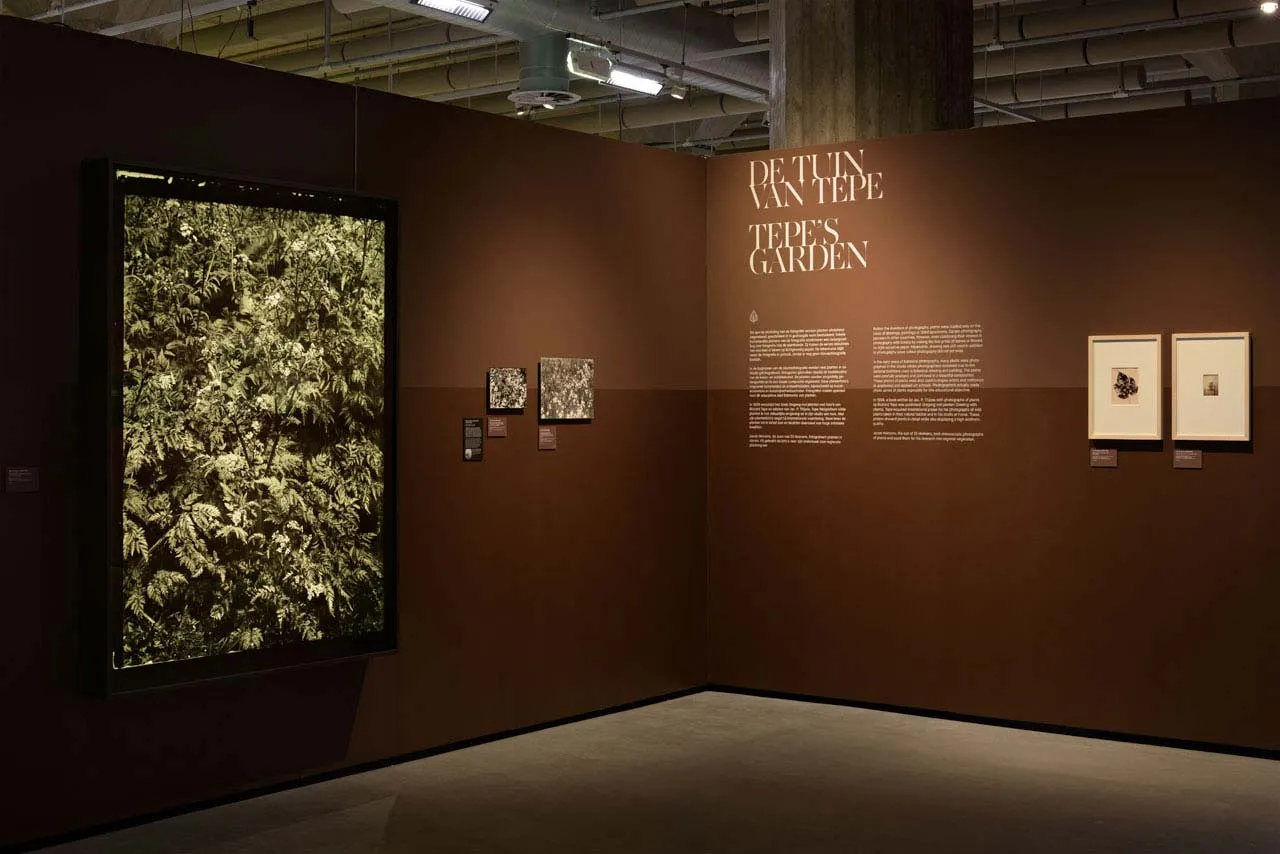 Jeb architecten_13-Jacht-met-de-camera_Tentoonstelling Ontwerp_Nederlands Fotomuseum Rotterdam