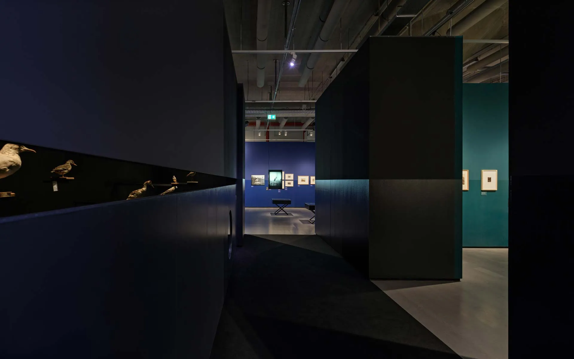 Jeb architecten_19-Jacht-met-de-camera_Tentoonstelling Ontwerp_Nederlands Fotomuseum Rotterdam